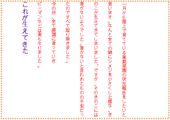 �e�L�X�g �{�b�N�X: �ꌎ���牮��ň�ĂĂ���ƒ�؉��̏󋵕񍐂��������Ǝv���܂��B�Ȃ�ƑS�Ă̔��ɃV���W�������������l�ȁA���̂��������Ă��Ă��܂��܂����B�ł����A���̂��̂��ɂ͊Q���Ȃ��悤�ł����B�Q���Ȃ��ƌ���ꂽ���̂̕s���������̂ł��ׂĎ�菜���܂����B
���̏��A�S�ď����Ɉ���Ă���
�s�[�}���Ȃǂ͎����Ȃ�܂����B
���ꂪ�����Ă���
