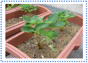 �e�L�X�g �{�b�N�X:  